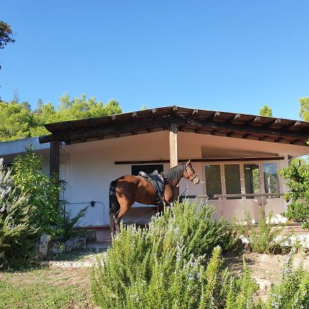 Villa Badde Rosa Dorgali Εξωτερικό φωτογραφία