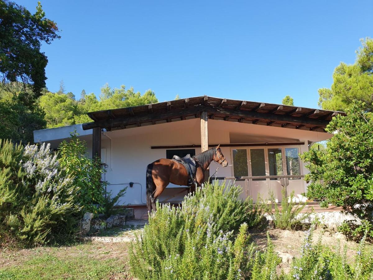 Villa Badde Rosa Dorgali Εξωτερικό φωτογραφία