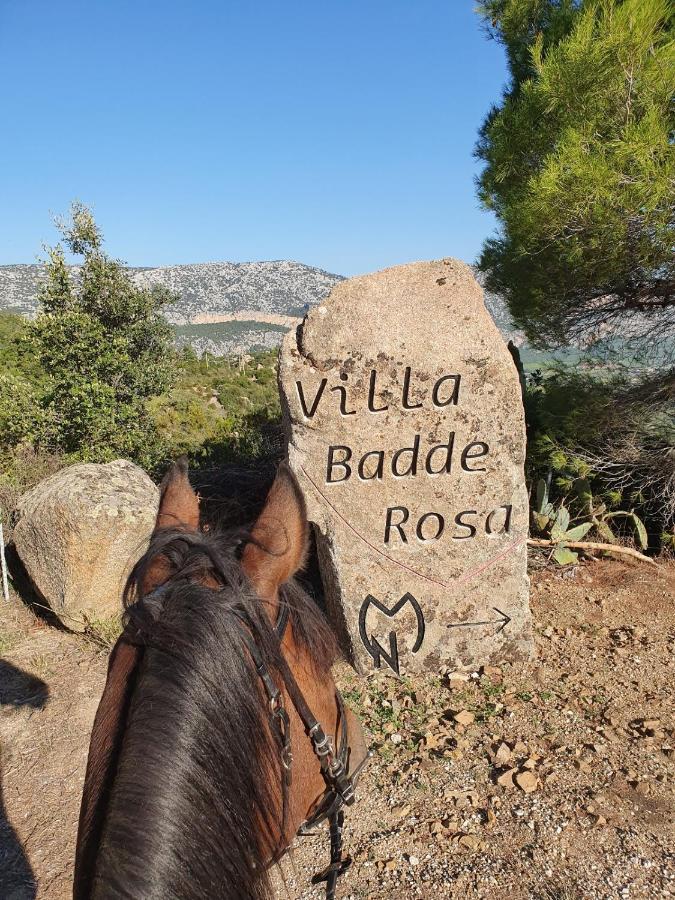 Villa Badde Rosa Dorgali Εξωτερικό φωτογραφία